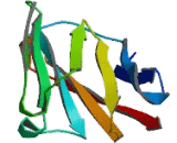 Carcinoembryonic Antigen Related Cell Adhesion Molecule 1 (CEACAM1) Carcinoembryonic Antigen Related Cell Adhesion Molecule 1 (CEACAM1)