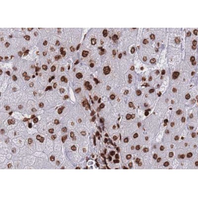 Валидация Affinity AF3481 - 2005