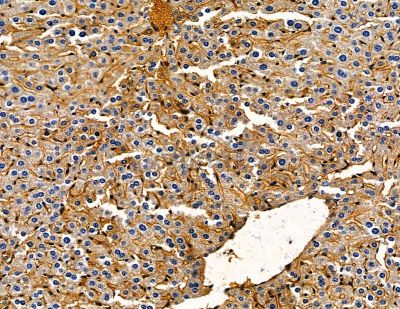 Валидация Affinity DF13805 - 9484