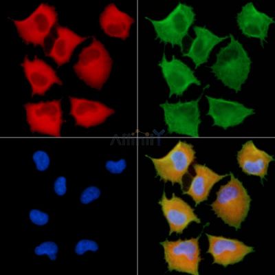 Валидация Affinity DF13756 - 9413