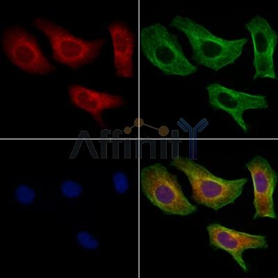 Валидация Affinity DF10128 - 5644