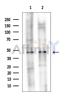 Валидация Affinity DF14149 - 9955