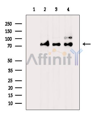 Валидация Affinity DF14066 - 9845