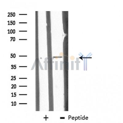Валидация Affinity DF3881 - 15041
