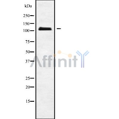 Валидация Affinity DF10147 - 5671