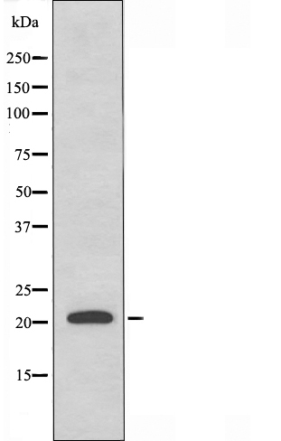 Валидация Affinity DF4546 - 16131