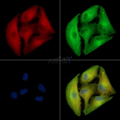 Валидация Affinity DF14042 - 9814