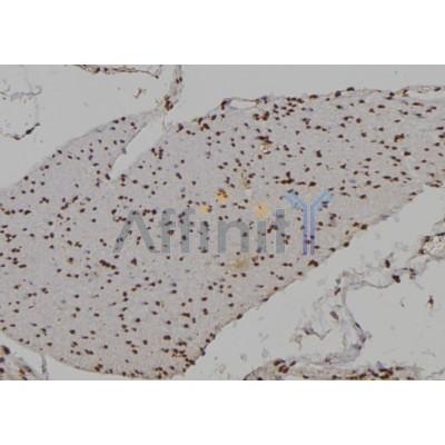 Валидация Affinity DF6686 - 18184