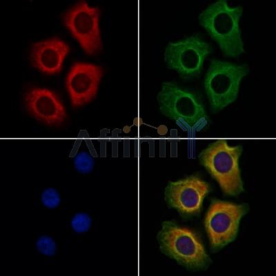 Валидация Affinity AF4007 - 2111