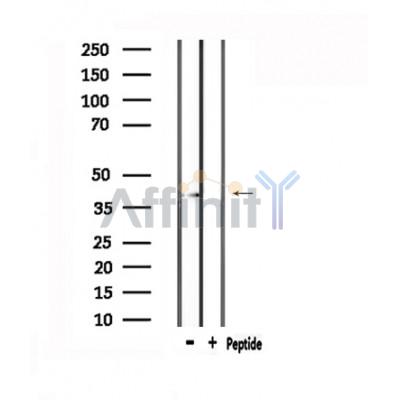 Валидация Affinity DF4914 - 16722