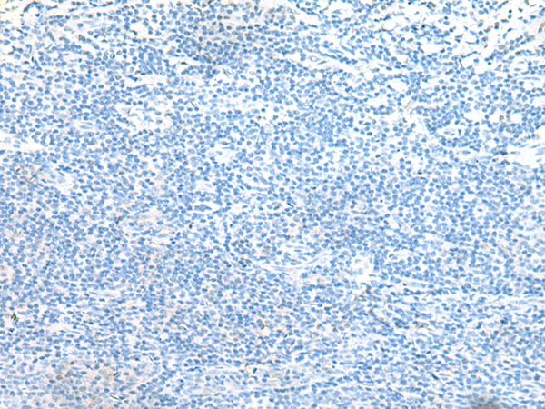 Валидация AssayVector ARM1916(2691)