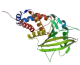Protein Tyrosine Phosphatase Receptor Type J (PTPRJ) Protein Tyrosine Phosphatase Receptor Type J (PTPRJ)