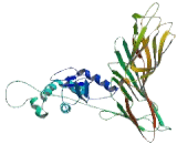 Adaptor Related Protein Complex 3 Mu 1 (AP3m1)