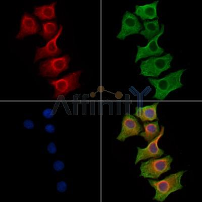 Валидация Affinity AF6239 - 3479