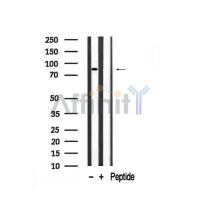 Валидация Affinity AF7845 - 4578