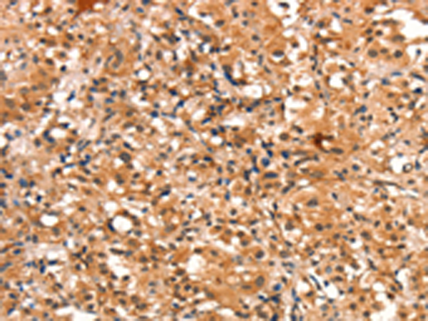 Валидация AssayVector ARM1656(1816)