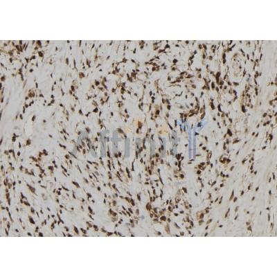 Валидация Affinity DF8442 - 20322