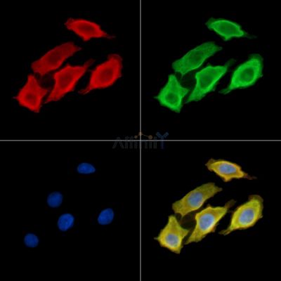 Валидация Affinity DF13960 - 9712