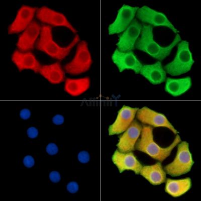 Валидация Affinity DF15024 - 11237