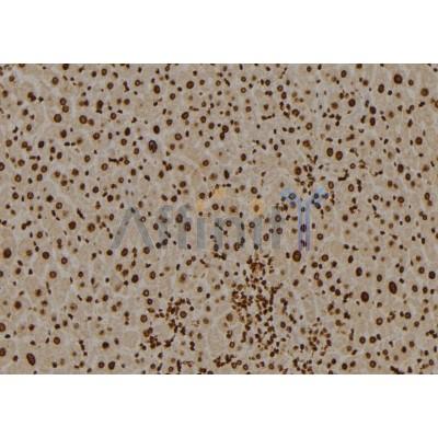 Валидация Affinity DF3606 - 14575