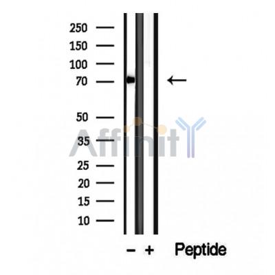 Валидация Affinity DF12251 - 6570