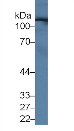 9889