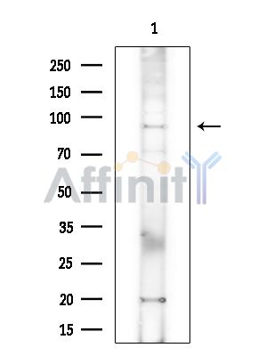 Валидация Affinity DF14825 - 10932