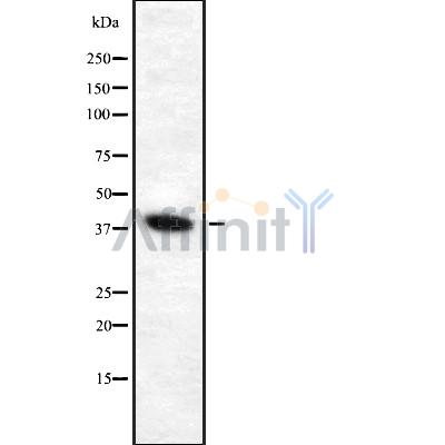 Валидация Affinity DF8629 - 20570