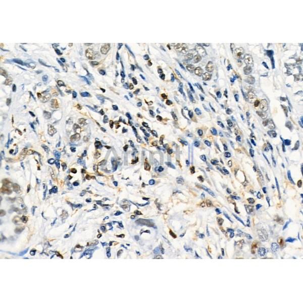 Валидация Affinity DF12349 - 6782