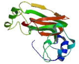 Phosphatidylserine Receptor (PSR) Phosphatidylserine Receptor (PSR)