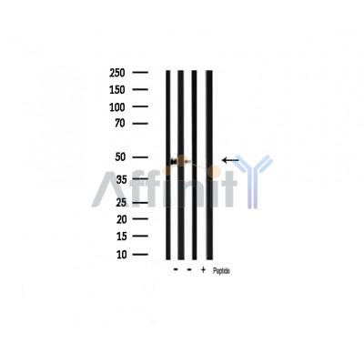 Валидация Affinity AF6456 - 3775