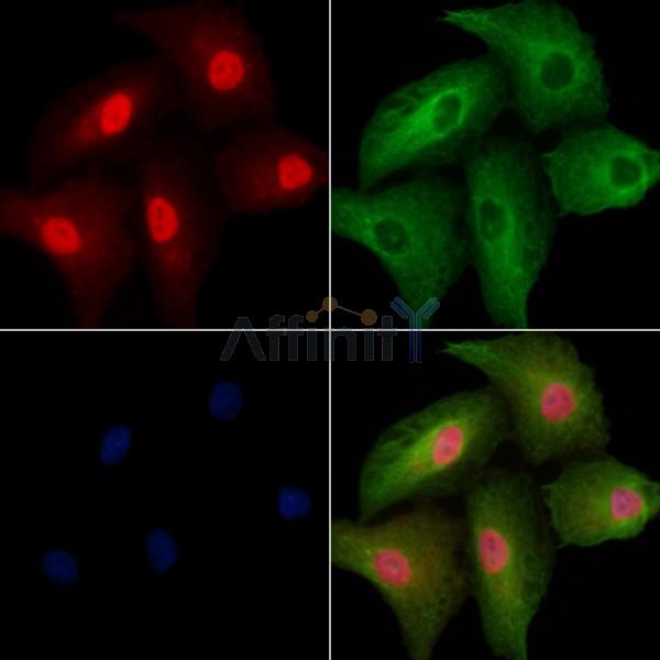 Валидация Affinity DF2670 - 13372