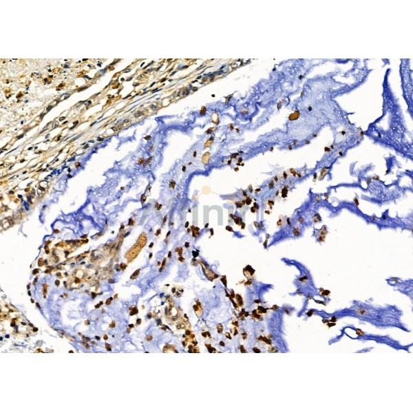 Валидация Affinity DF5173 - 17147