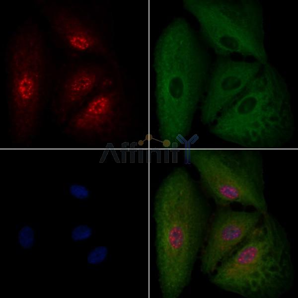 Валидация Affinity DF7226 - 18880