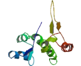 Folate Receptor 3 Gamma (FOLR3) Folate Receptor 3 Gamma (FOLR3)