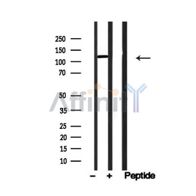 Валидация Affinity AF4782 - 2402