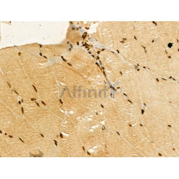 Валидация Affinity DF13165 - 8133