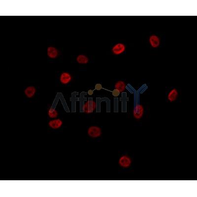 Валидация Affinity DF12121 - 6267