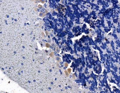 Валидация Affinity DF13828 - 9518