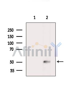 Валидация Affinity DF2743 - 13476