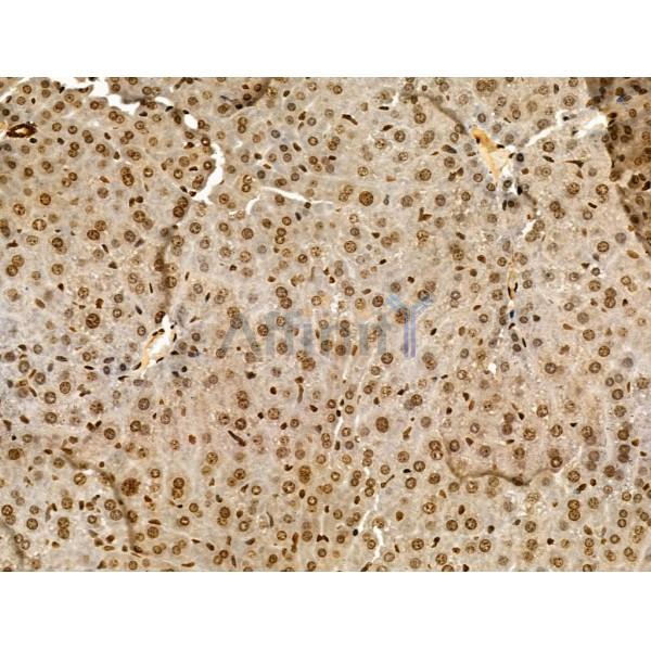 Валидация Affinity DF3258 - 14107