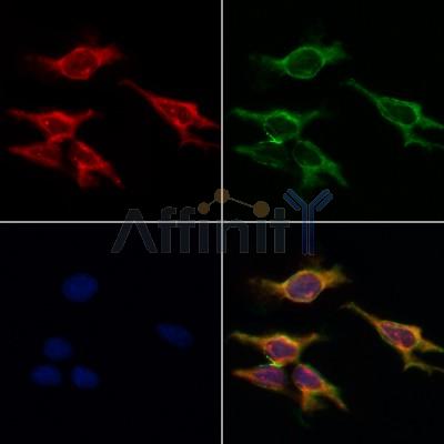 Валидация Affinity AF5316 - 2877