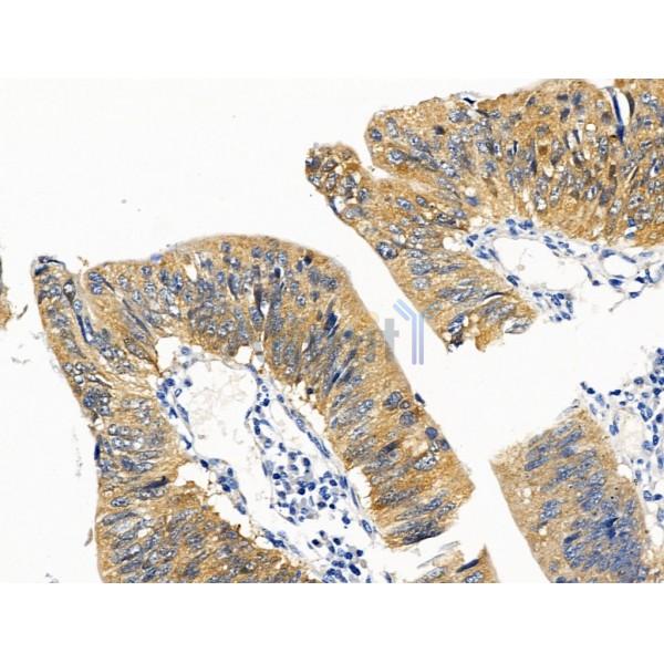 Валидация Affinity AF5477 - 3149