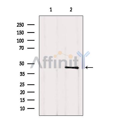Валидация Affinity DF7689 - 19468