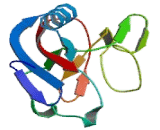 C-Type Lectin Domain Family 2, Member B (CLEC2B) C-Type Lectin Domain Family 2, Member B (CLEC2B)