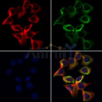 Валидация Affinity DF12820 - 7529