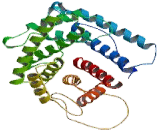Complement Component 4a (C4a)