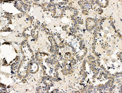 Валидация Affinity DF15250 - 11528