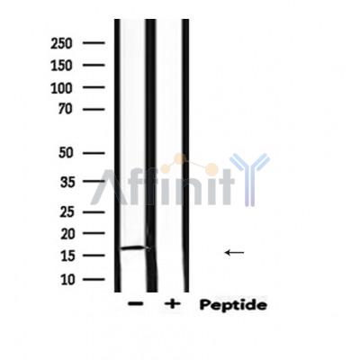 Валидация Affinity DF6497 - 17894