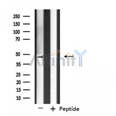 Валидация Affinity DF4507 - 16066